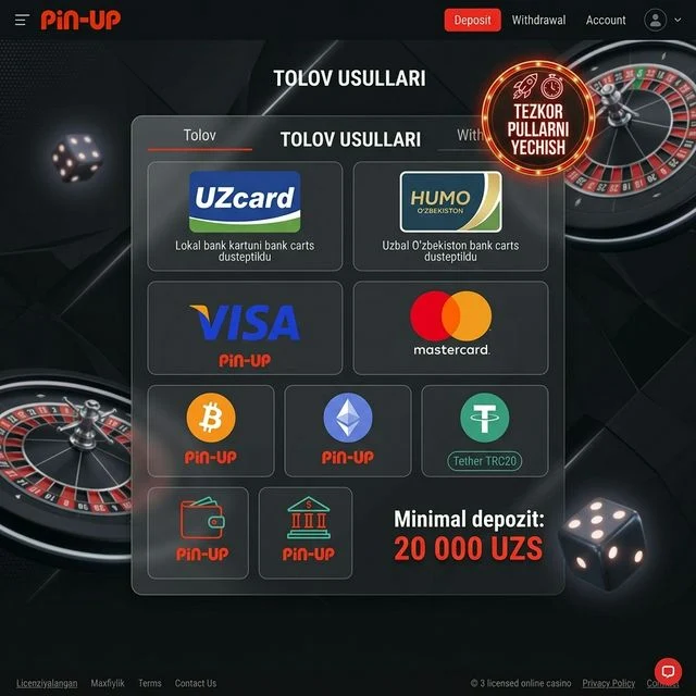 Pin-Up Casino to'lov usullari UZcard HUMO kripto Bitcoin USDT 2026